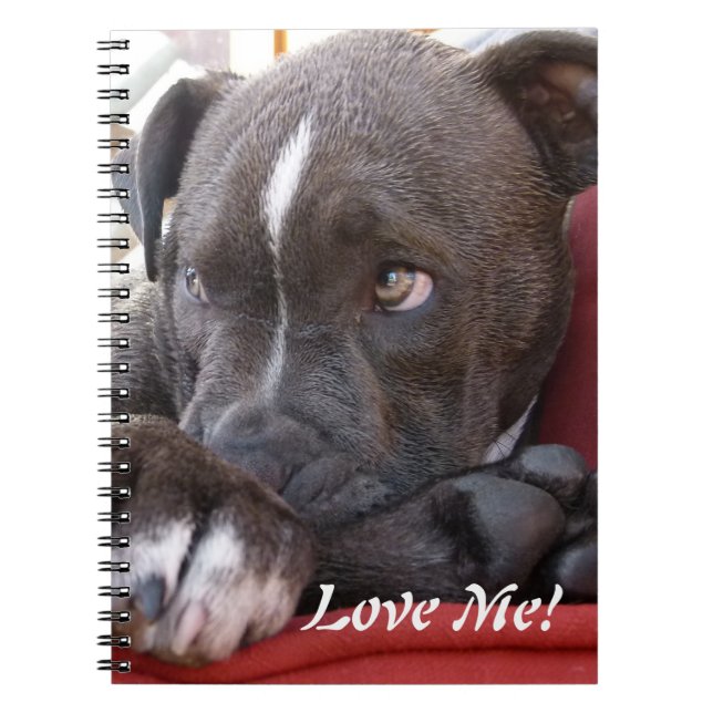Carnet Chiots de Pitbull de bébé (Devant)
