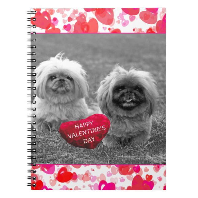 Carnet Chiots Pekingese souhaitant Heureuse Sainte-Valent (Devant)