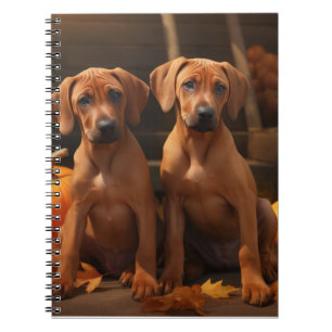 Carnet Chiots Rhodesian Ridgeback Délice d'Automne Citrou