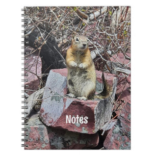 Carnet Chipmunk dans le parc national des Glaciers Photo