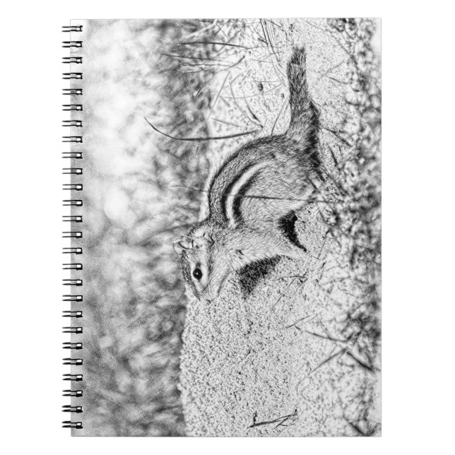 Carnet Chipmunk Sketch (Devant)