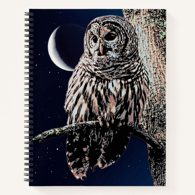 Carnet Chouette barrée et lune de croissant dans le ciel  (Devant)