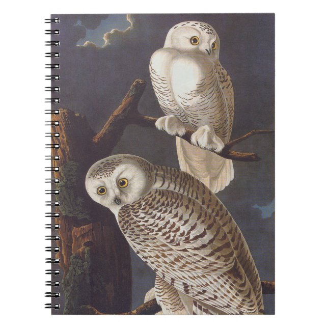 Carnet Chouette blanche neige Audubon lors d'une nuit nua (Devant)