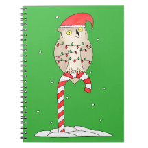 Chouette de Noël mignonne