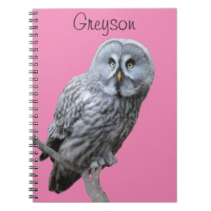 Carnet Chouette grise