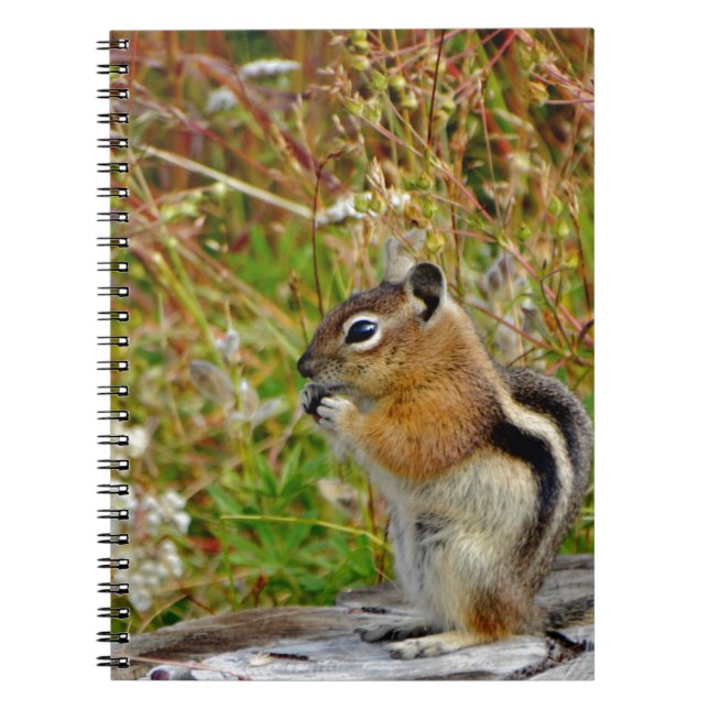 Carnet Chubby mignon chipmunk sur la souche de bois (Devant)
