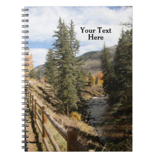 Carnet Chute à Aspen