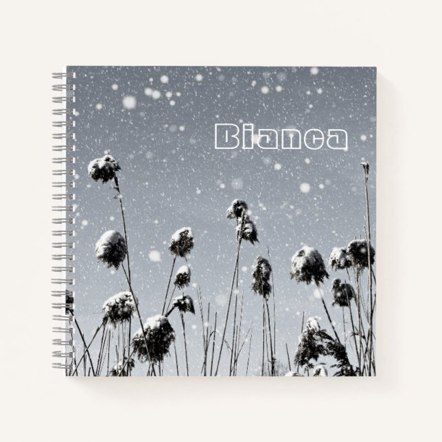 Carnet Chute de neige (Devant)