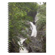 Chutes de Wairere