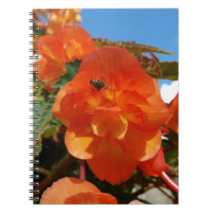 Carnet ciel, fleurs et abeille