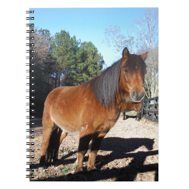 Carnet Ciel turquoise de poney Brown (Devant)