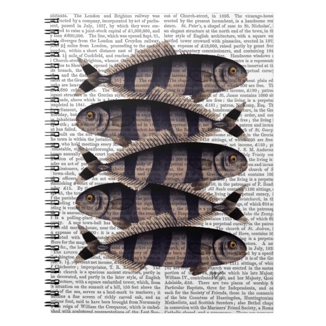 Carnet Cinq poissons triés (Devant)
