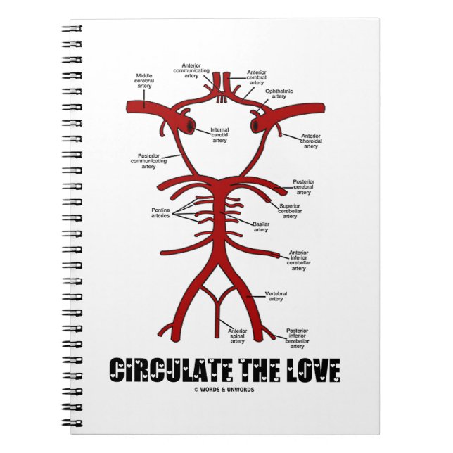 Carnet Circuler L'Amour (Cercle De Willis) (Devant)