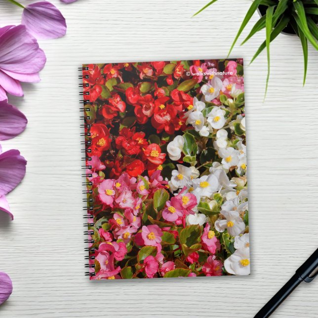 Carnet Cire colorée Begonias (Colorful Wax Begonias Journal Cover Photo)