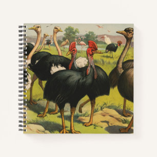 Carnet Cirque vintage Montrant Des Ostriches Et De Grands
