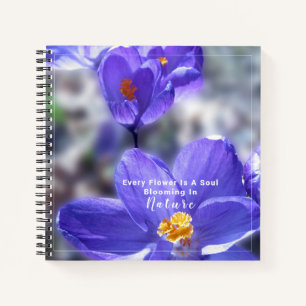 Carnet Citation Crocus Purple Fleurs