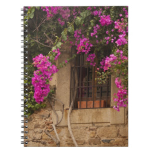 Carnet Cité Monumentale, bâtiments couverts de fleurs