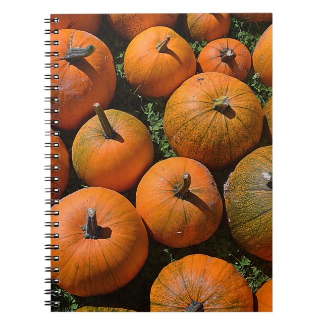 Carnet citrouille (Devant)