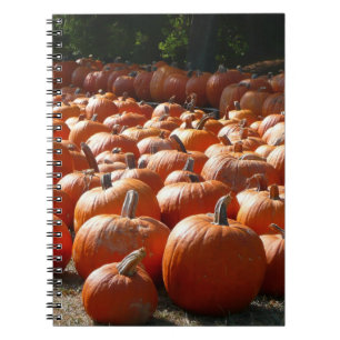 Carnet Citrouille Patch Automne Harvest Photographie