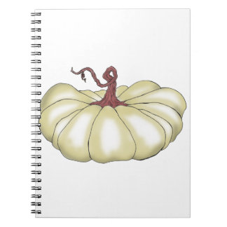 Carnet citrouille plat tan