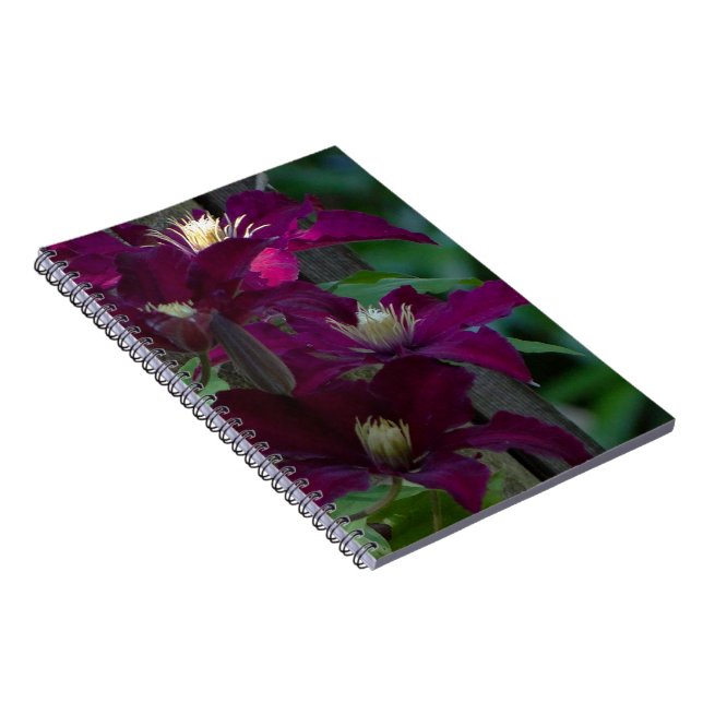 Carnet Clematis violet (Côté Droit)