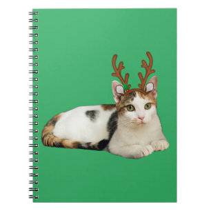 Carnet Cléopâtre de rennes