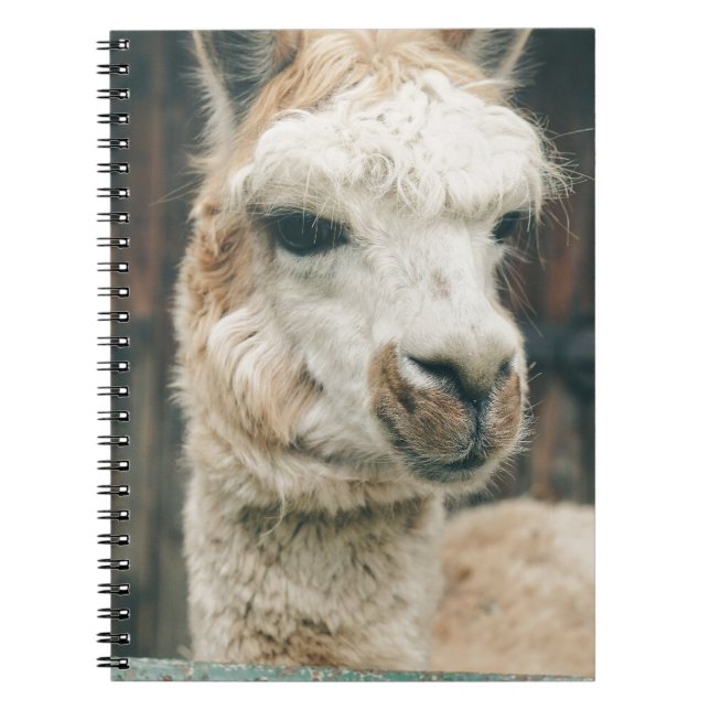 Carnet Close (Devant)