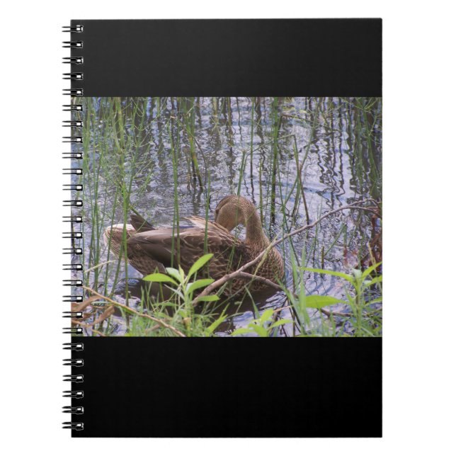 Carnet Closeup photo of a duck (Devant)