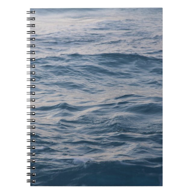 Carnet Closeuse d'eau de mer (Devant)
