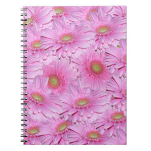 Carnet Clusters de fleurs de Gerbera rose,