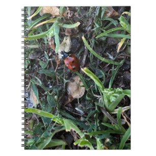 Carnet Coccinelle