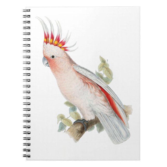 Carnet Cockatoo Art Vintage (Devant)