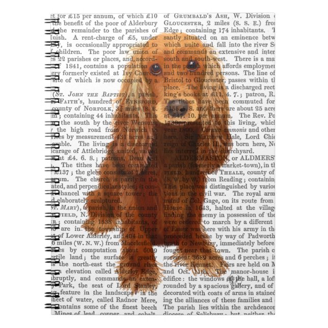 Carnet Cocker Spaniel Plain (Devant)
