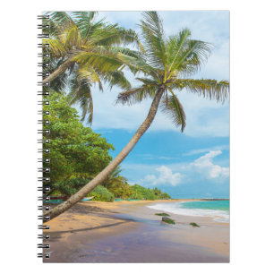 Carnet Cocotier, plage Sri Lanka de Mirissa