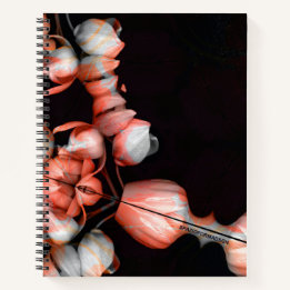 Carnet "Coeur blanc en noir du soleil"