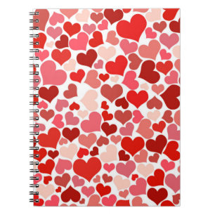 Carnet Coeurs multicolores Motif-20367