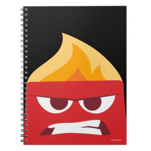 Carnet Colère