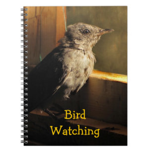 Carnet Colibri