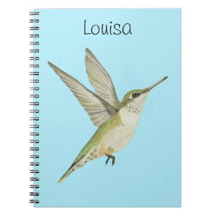Carnet Colibri
