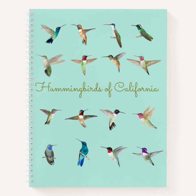 Carnet Colibri de Californie (Devant)