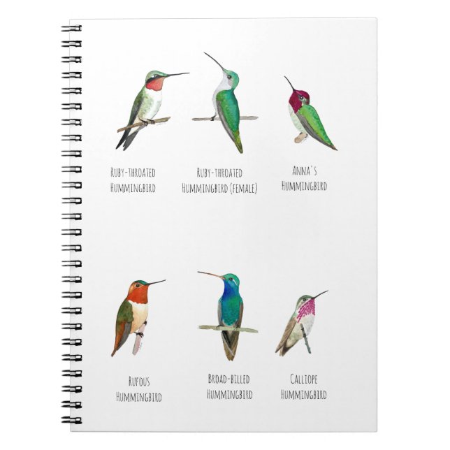 Carnet Colibri nord-américain (Devant)
