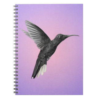 Carnet Colibri précieux sur violet rose