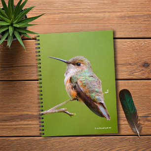 Carnet Colibri roux sur California Lilac