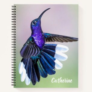 Carnet Colibri violet avec de belles plumes sur mesure