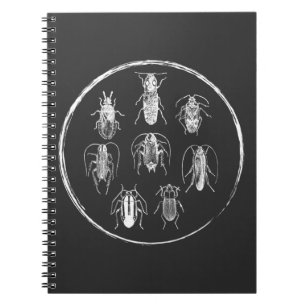 Carnet Collecteur de bogues Nature Entomologie Insectes G