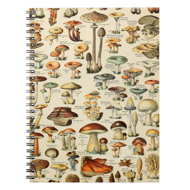 Carnet Collection de champignons (Devant)