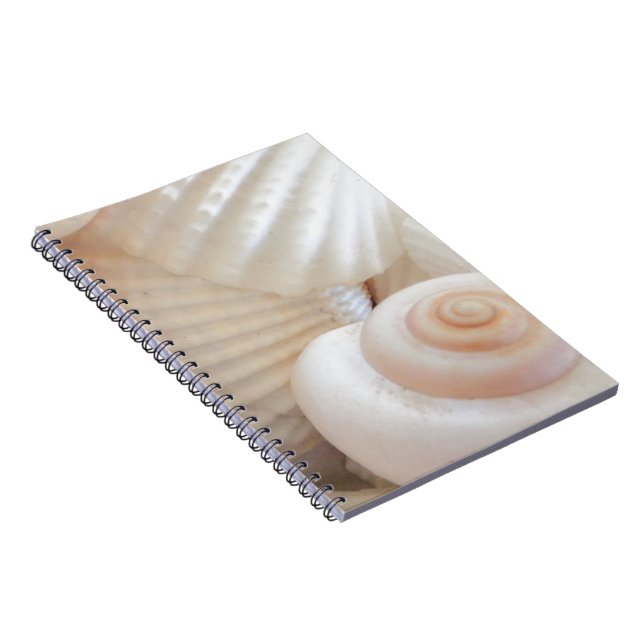 Carnet Collection de coquillages d'été ensoleillés (Côté Droit)