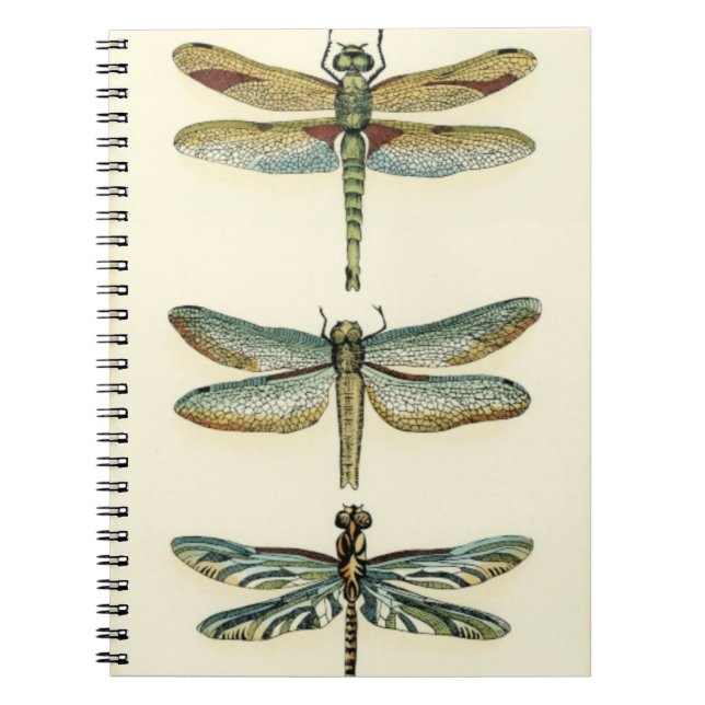 Carnet Collection de libellules par Chariklia Zarris (Devant)