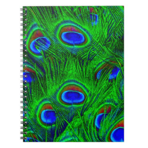 Carnet Collection de mode Peacock Feathes