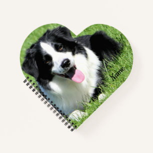 Carnet Collie frontière noire et blanche